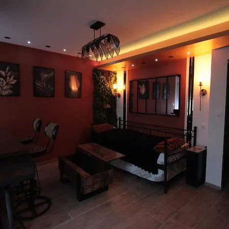 Apartment Luxury Studio, Rez De Chaussee, Parking Prive Video Surveillance, Canape Haute Qualite Convertible Couchage 2 Personnes, Centre Proche, Restaurant, Boulangerie 2 Minutes A Pied, Terrasse - 800metre Carre De Terrain - Gere Par Presta-zen'service